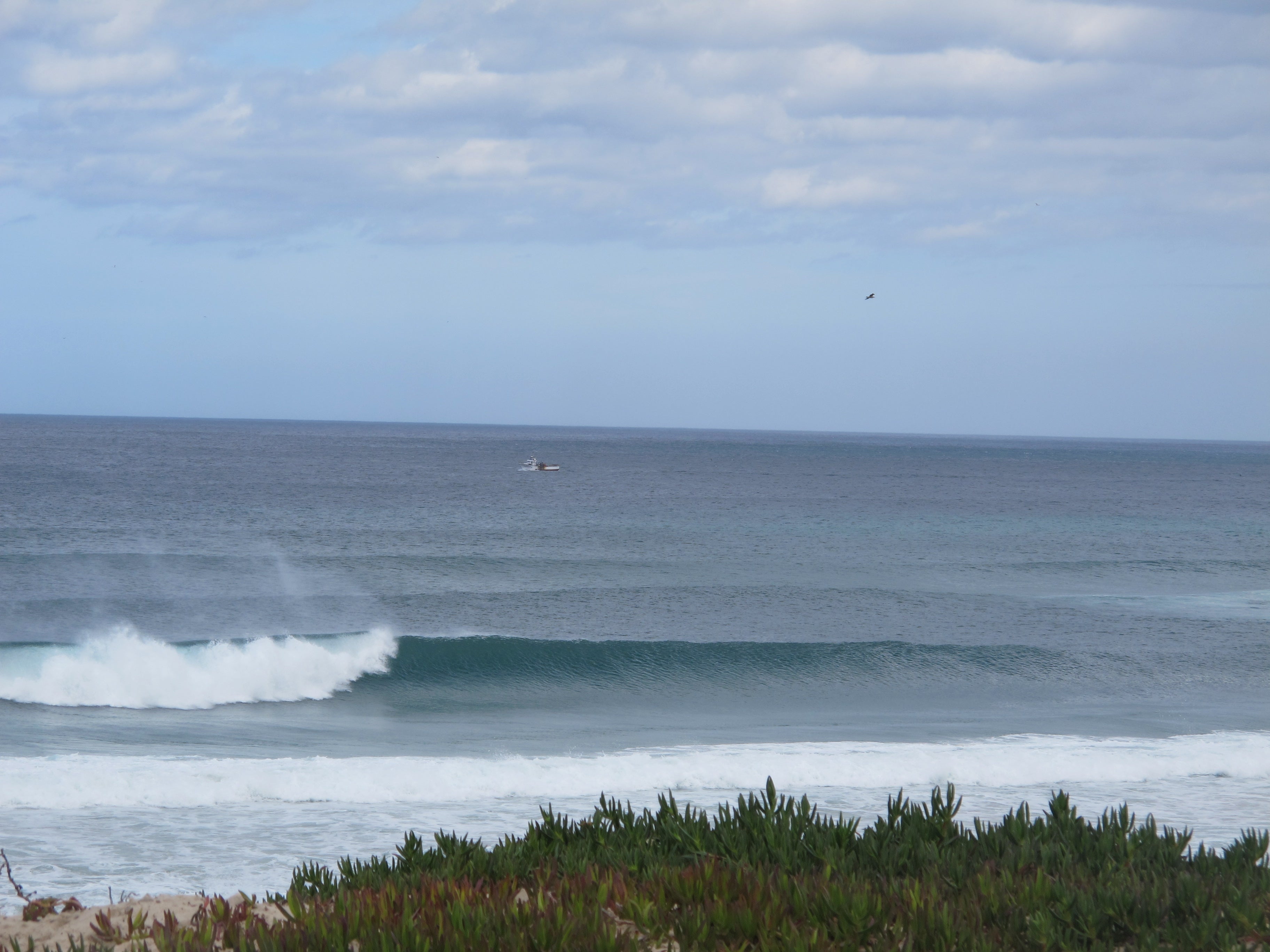 טיולי גלישה - פורטוגל