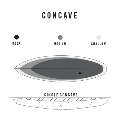 Sharp Eye Holly Toledo