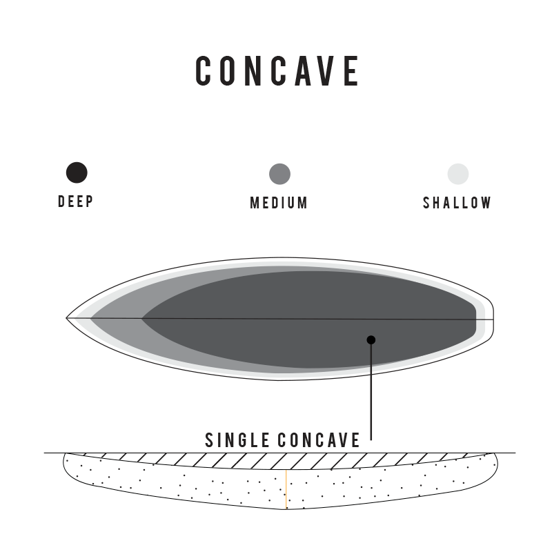 Sharp Eye Holly Toledo